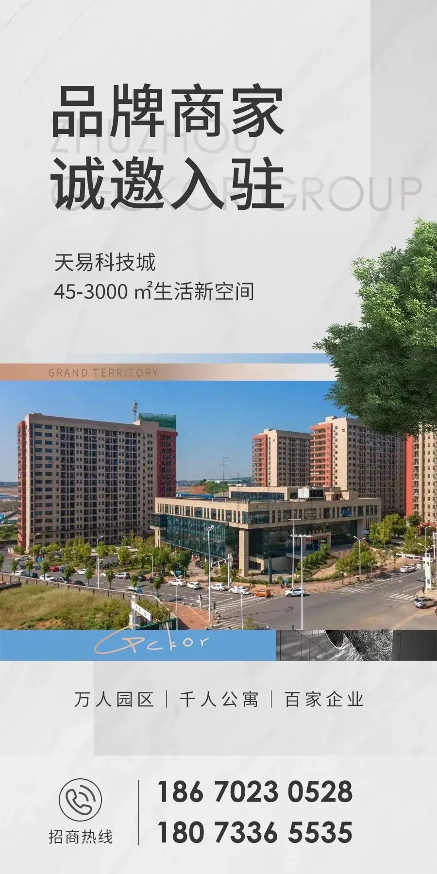 1692150147171127.jpg 640 (1).jpg